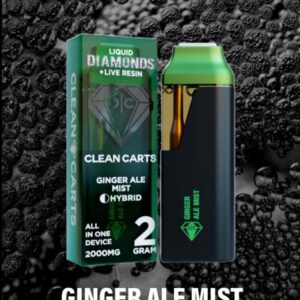 Clean Carts Ginger Ale Mist T100 2g Disposable - HYBRID